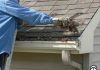 Ladder Safety Should Be Tops for Home Improvers