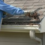 Ladder Safety Should Be Tops for Home Improvers