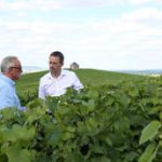 Small Wineries Find Creative Ways to Thrive