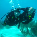 Scuba Diving Brings Health, Hope to Injured And Disabled