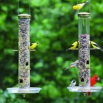 If you’re feeling stressed and anxious, research says: feed the birds