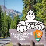 Eco-Friendly Paving Revives Park Pathways