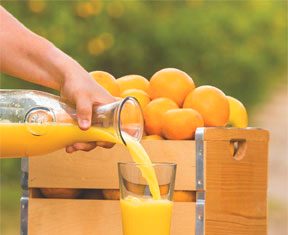 Orange You Smart? Florida Orange Juice Is Good for You