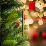 Scent-imental: Holiday Smells Evoke Happy Memories
