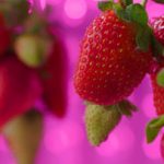 Automated Containers Make Organic Urban Farming Feasible