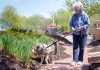 The Pet Boost: Furry Friends Help Seniors Feel Less Lonely