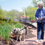 The Pet Boost: Furry Friends Help Seniors Feel Less Lonely