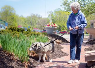 The Pet Boost: Furry Friends Help Seniors Feel Less Lonely