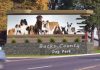 Feature-Rich Dog Parks Are Coming to Towns Across America