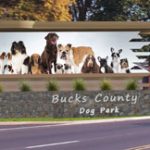 Feature-Rich Dog Parks Are Coming to Towns Across America