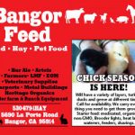 bangor-feed