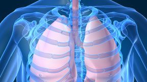 Fighting Fungal Lung Infections with Innovative Inhaled Technology