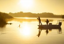 Central Florida’s Hidden Gems Shine in the Summer