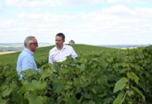 Small Wineries Find Creative Ways to Thrive