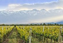 Dare to Pair Pinot and Plover on Vacation