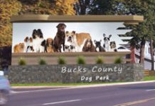 Feature-Rich Dog Parks Are Coming to Towns Across America