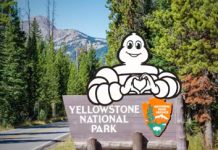 Eco-Friendly Paving Revives Park Pathways