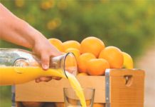 Orange You Smart? Florida Orange Juice Is Good for You