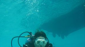 No Arms, No Legs, No Worries