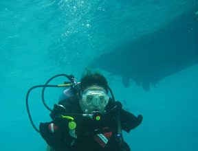 No Arms, No Legs, No Worries