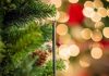 Scent-imental: Holiday Smells Evoke Happy Memories