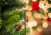 Scent-imental: Holiday Smells Evoke Happy Memories