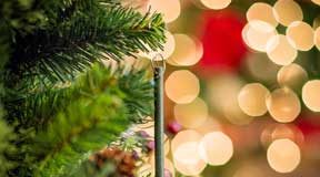 Scent-imental: Holiday Smells Evoke Happy Memories