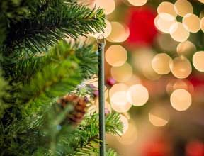 Scent-imental: Holiday Smells Evoke Happy Memories