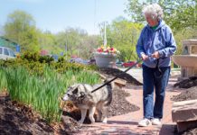 The Pet Boost: Furry Friends Help Seniors Feel Less Lonely
