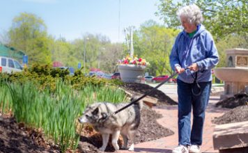 The Pet Boost: Furry Friends Help Seniors Feel Less Lonely
