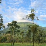 Fully Escorted Tours Introduce Retirees to Costa Rica