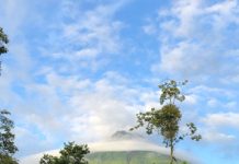 Fully Escorted Tours Introduce Retirees to Costa Rica