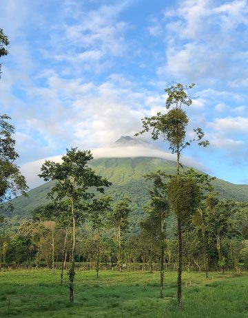 Fully Escorted Tours Introduce Retirees to Costa Rica